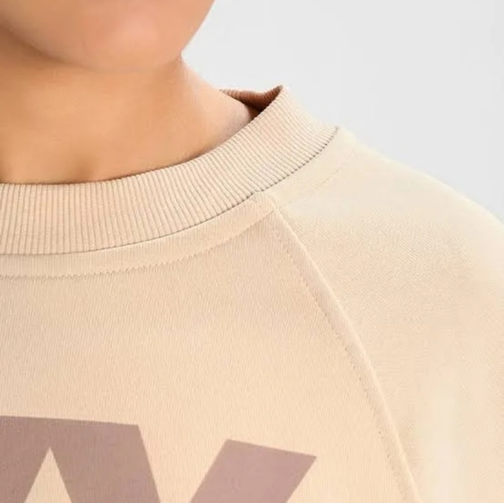 Ivy Park (Beyonce) Beige Cropped Sweatshirt - Picture 3 of 8